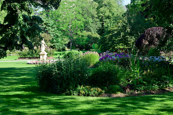Jardín ajardinado exuberante con macizo de flores y plantas coloridas - Foto, imagen