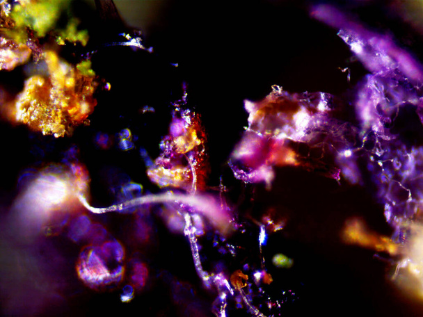 Mikroszkopikus fotó a kannabiszról. Citromköd és lila citrom fröccsöntése - Fotó, kép
