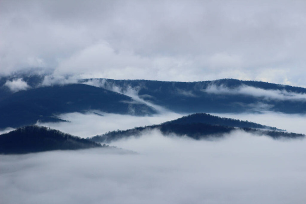 A landscape of mountains covered in trees and fog under a cloudy sky - Fotografie, Obrázek