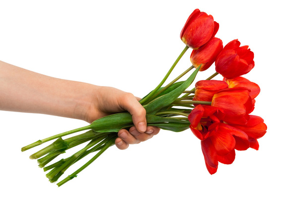 Tulips in a hand - Fotó, kép