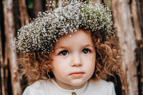 beautiful little 3-year-old girl with curly hair posing for outdoors - Фото, зображення