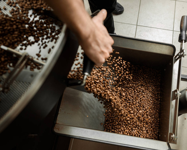 Coffee processing. Roastery, roasting machine and fresh beans - Photo, Image