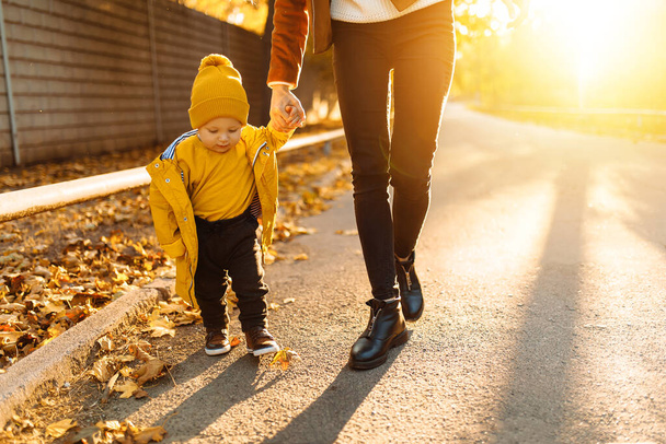 Happy family on an autumn walk, Mother little baby walking in the park and enjoying the beautiful autumn nature - 写真・画像