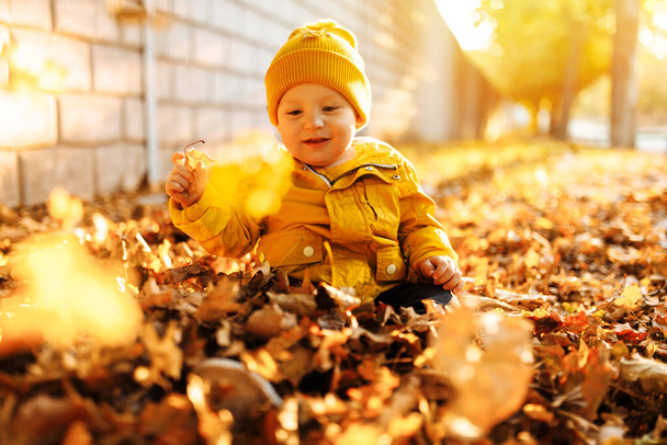 Cute little baby in the autumn park, Happy child enjoying a warm and sunny autumn day. Autumn outdoor fun for kids - Photo, Image