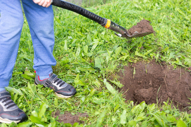 chico cava un agujero para plantar un árbol en el sitio de una casa de campo. vacaciones en el campo - Foto, imagen
