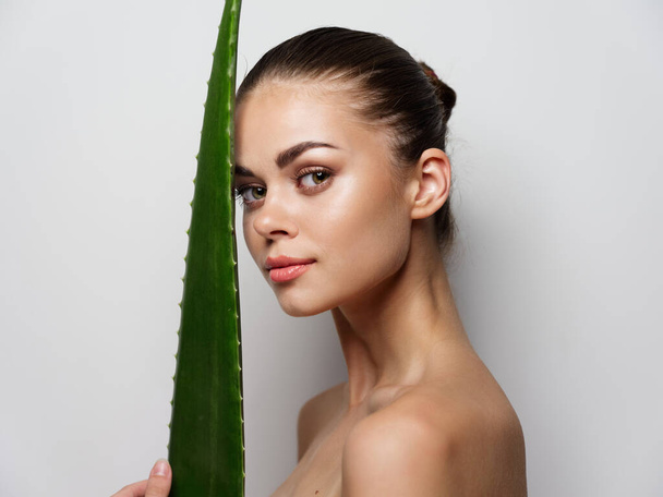 portrait of sexy women near aloe leaf bare shoulders clear skin cosmetology model - Photo, image