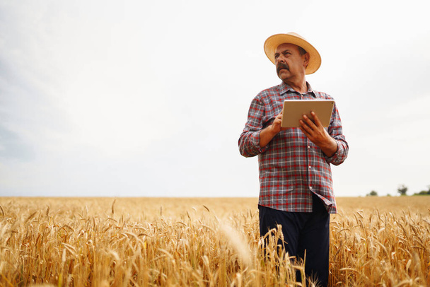 Modern agriculture technology. Smart farming concept. Farmer checking wheat field progress, holding tablet using internet. - Фото, изображение