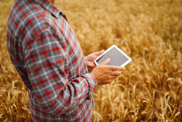 Modern agriculture technology. Smart farming concept. Farmer checking wheat field progress, holding tablet using internet. - Fotoğraf, Görsel