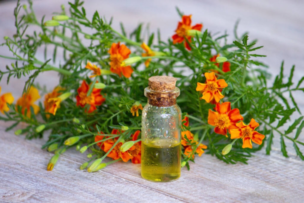 marigold oil essential oils, nature. Selective focus - Foto, Imagen