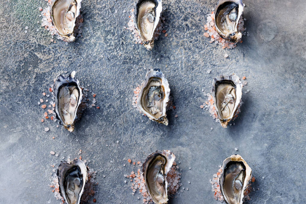 Top view of fresh open oysters. Healthy seafood. Dinner in the restaurant.  - Fotografie, Obrázek
