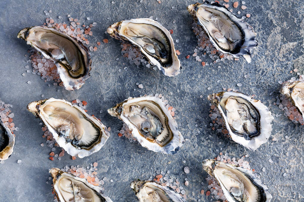 Fresh open oysters on dark background. Healthy seafood. Dinner in the restaurant. - 写真・画像