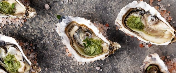 Close-up view of fresh gourmet open oysters on dark background.  - Valokuva, kuva