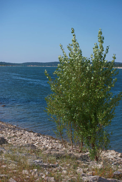 natura przyroda jezioro widok - Foto, Imagen