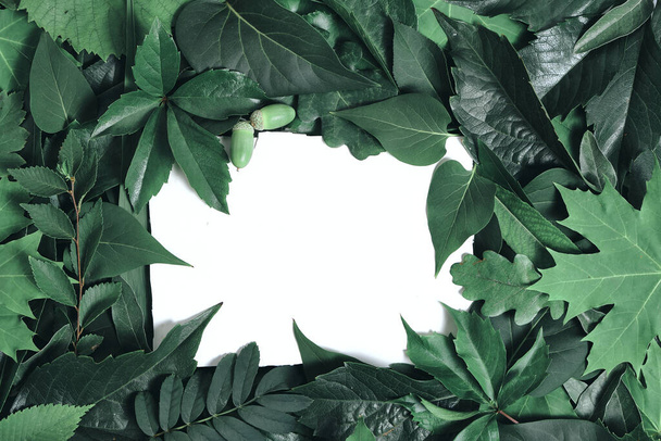 Template for creativity, background of green foliage trees and flowers with white square in middle copyspace - Foto, Bild