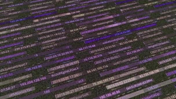 Abstract digital background of narrow horizontal stripes with hacking data. Animation. Purple background with passwords and secret encrypted information, seamless loop. - Footage, Video