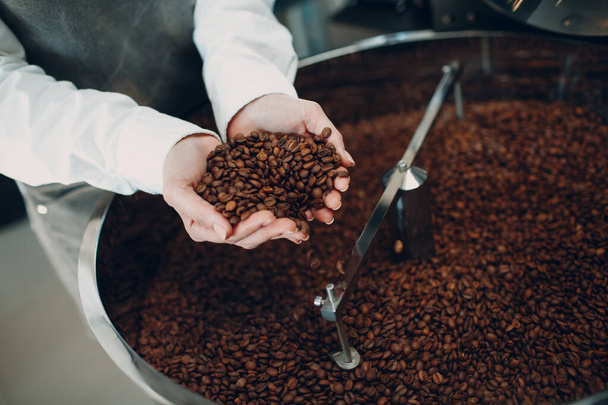 Coffee cooling in roaster machine at coffee roasting process. Young woman worker barista Mixing and hold coffee beans in hands. - Photo, Image