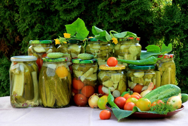 Preserves vegetables in glass jars on the table in summer garden. glass jars with various vegetables. Marinated food.Jars of pickled vegetables in the garden. - Foto, Imagem