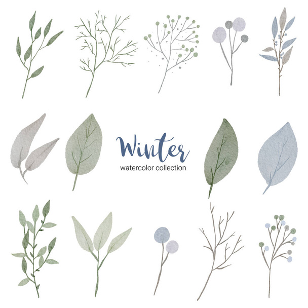 winter watercolor collection with various types of leaves - Vektor, kép
