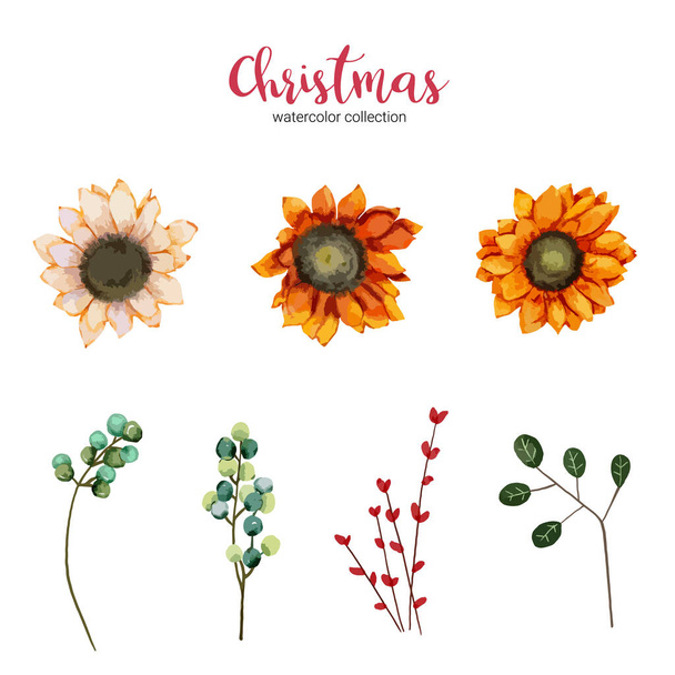 collection of watercolor illustration beautiful flower - Vector, Image