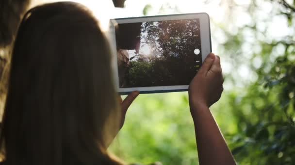 žena fotografování přírody s tabletovým počítačem - Záběry, video