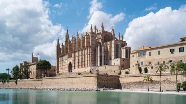 Palma de Mallorca, Espanja, Timelapse - Catedralin basilikan kaakkoispuoli - Materiaali, video