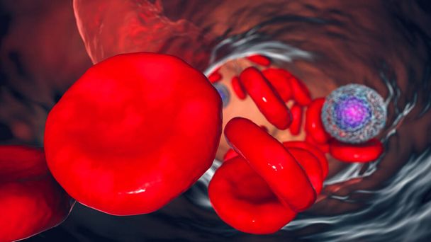 Красные кровяные тельца в кровотоке, 3D иллюстрация. Лимфоциты на заднем плане - Фото, изображение
