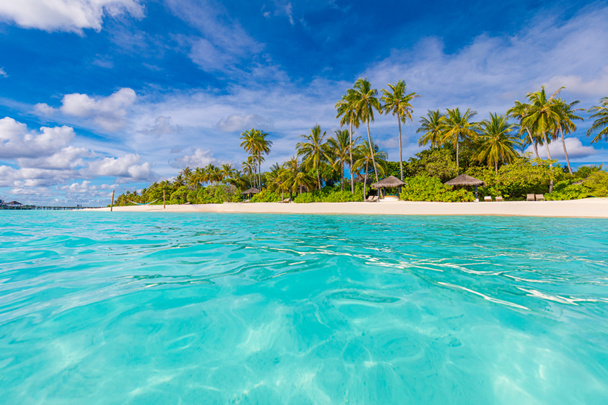 mooi tropisch strand en palmbomen - Foto, afbeelding