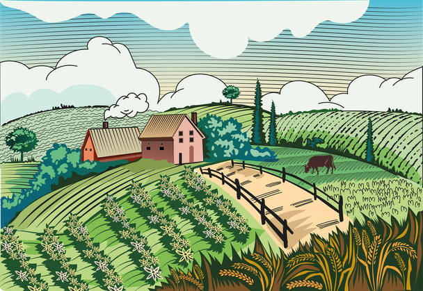 casas campos una vaca pastando en prados un paisaje rústico - Vector, imagen