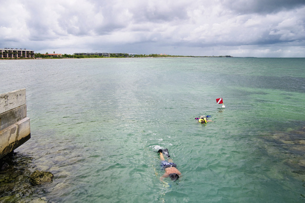 Snorkel matutino
 - Foto, imagen