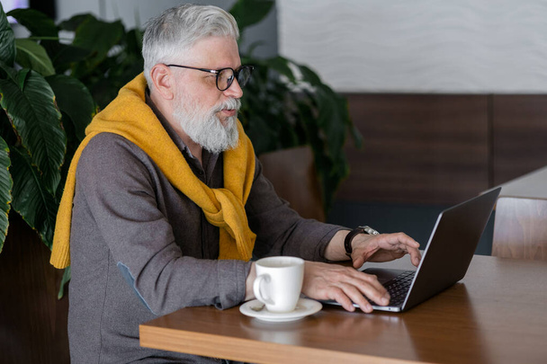 handsome gray-haired male director or top manager working with a laptop and chatting online - Foto, Imagen