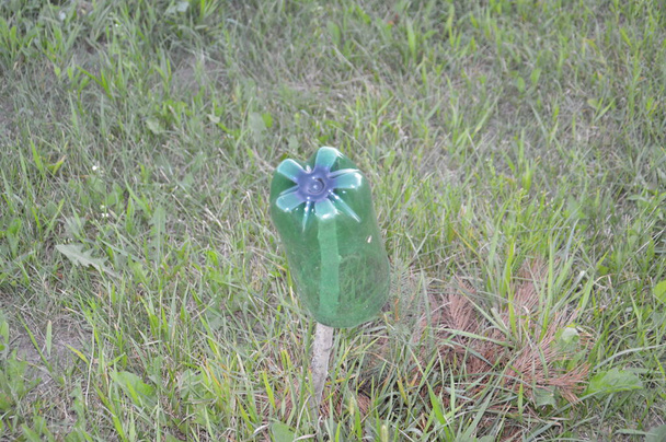 Mécanisme de protection des bouteilles en plastique contre les taupes pour le jardin et un légume - Photo, image