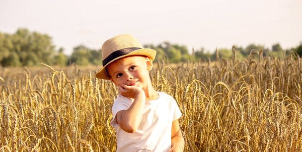 Child in a wheat field hugging a grain harvest. Farm. Nature, Selective focus - Fotografie, Obrázek