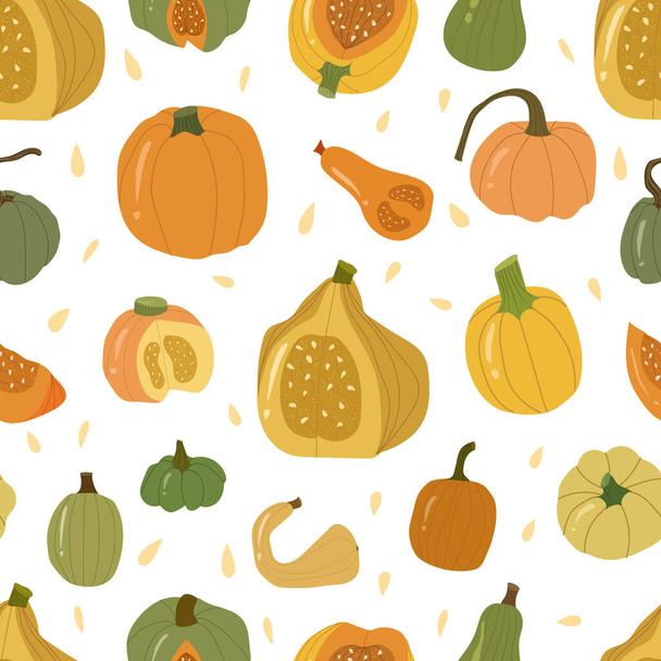 Colored pumpkin seamless pattern, autumn vegetable whole and slice. - Vettoriali, immagini