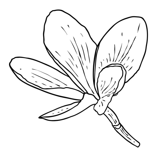 Spa salon Plumeria flower line art element design. Yoga Oil aromatherapy and hot massage studio, welcome symbol. Drawing Frangipani flower open bud. Vector.  - Vetor, Imagem