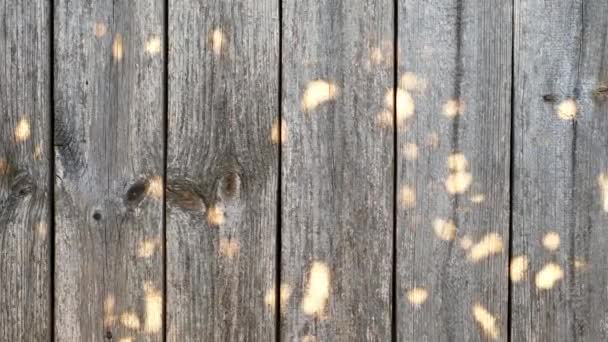 Природний незабарвлений дерев'яний старий дошка сірого фону з відблисками від сонця. Дерев'яна підлога зроблена з дощок, витриманих за часом. Пошкодження незафарбованої деревини від впливу зовнішніх природних факторів
 - Кадри, відео