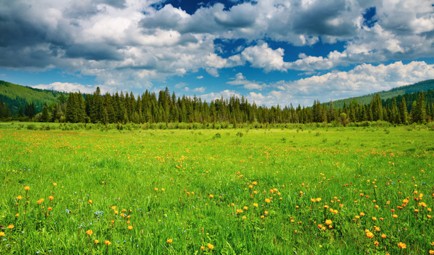 Paisagem com campo verde e céu nublado
 - Foto, Imagem