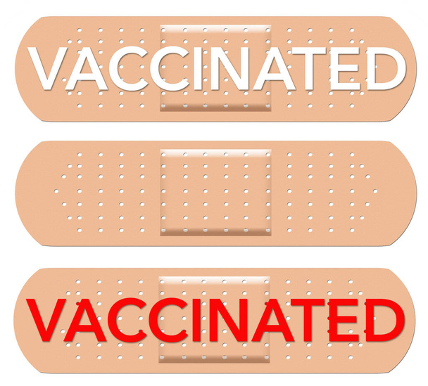 Un vendaje adhesivo con la palabra vacunada se aísla sobre un fondo blanco. Esta ilustración 3-d se refiere a las vacunas contra el Coronavirus y la gripe. - Foto, Imagen