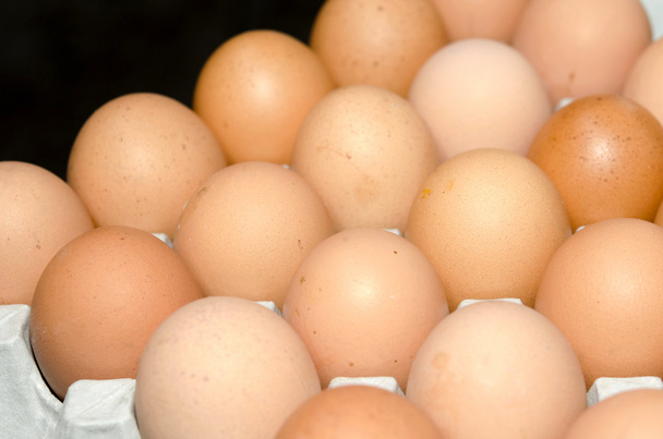Yumurtalar - Fotoğraf, Görsel