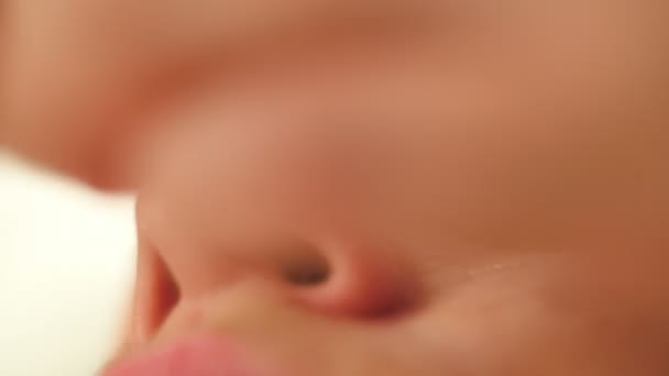 Pulizia del naso con apparecchiature ad ultrasuoni
 - Filmati, video