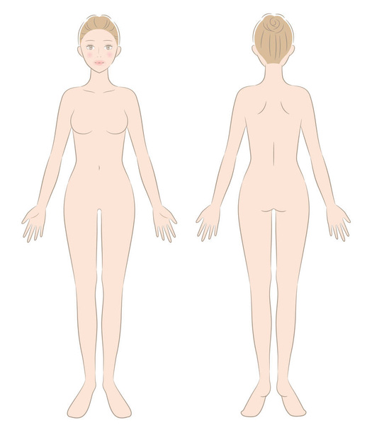 mujer desnuda cuerpo completo ilustración delantera y trasera. Concepto de belleza y salud - Vector, imagen