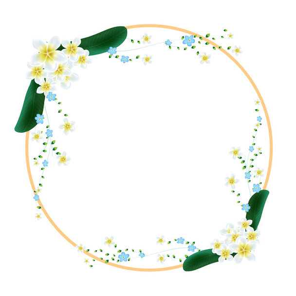 frangipani flowers on a circle line on a clear background vector design work - Vektori, kuva