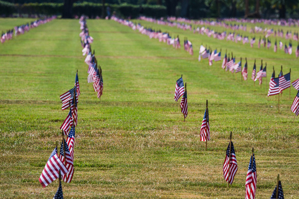 私たちの退役軍人の日に退役軍人墓地内のフラグ  - 写真・画像