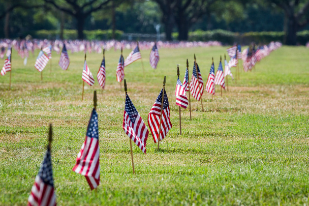 Noi bandiere in un cimitero di reduci durante giorno di Veterani
  - Foto, immagini