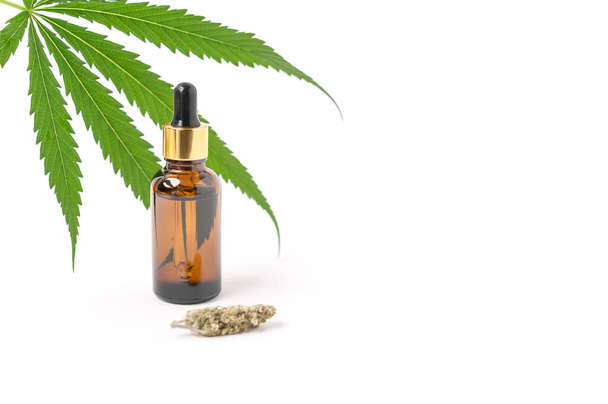 Extractos de aceite de cannabis en frascos y hojas de cannabis verde, marihuana aislada sobre fondo blanco. Cultivo de marihuana medicinal y herbácea. - Foto, imagen