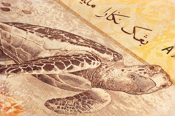 Makro lähikuva 20 Malesian ringgit. Äärimmäisen lähellä RM20 Malesia. Hawksbill-kilpikonnan tarkka kiinnitys setelin kääntöpuolelle. Malesian paperivaluutta  - Valokuva, kuva