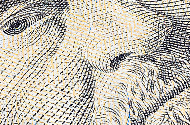 Macro close up of 50 US dollar banknote. Close up of fifty American dollar note. US dollar is the world currency.  Portrait of Ulysses Grant on the front of the paper banknote. Legal tender of USA - Photo, Image