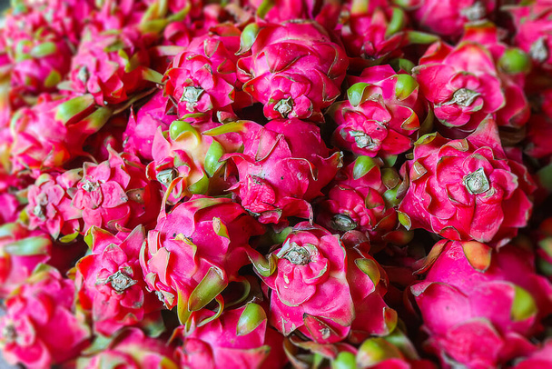 A bunch of dragon fruit on a fresh market at Nha Trang, east Vietnam. The red pink skin of the Pitahaya or Pitaya, the fruit of Hylocereus, a type of cactus family. The pulp can be white or violet - Photo, Image