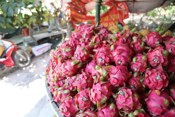 ベトナム東部のNha Trangでの新鮮な市場でのドラゴンフルーツの束。ピタハヤやピタヤの赤いピンク色の肌は、サボテン科の一種であるヒロケリウスの果実です。パルプは白または紫である場合もある。 - 写真・画像