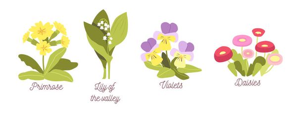 Set Spring Flowers, Bloom Garden or Forest Blossoms Primrose, Lilly of the Valley, Violets and Daisies, Natural Plants - Διάνυσμα, εικόνα