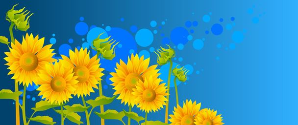 schöne Sonnenblumen - Vektor, Bild